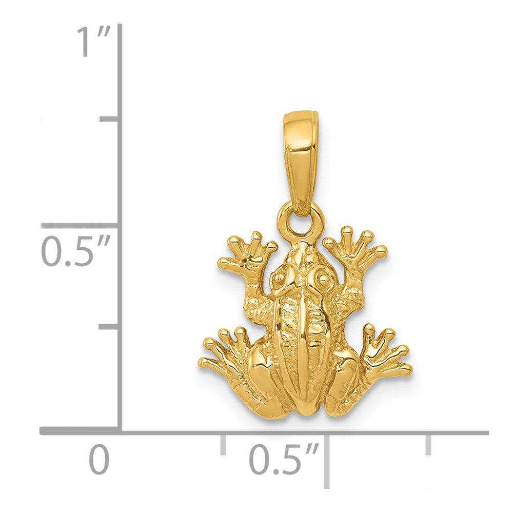 14K Gold Frog Pendant - Textured Amphibian Charm - Charlie & Co. Jewelry