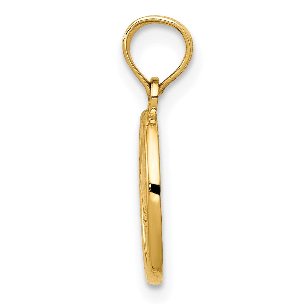 Charlie & Co Jewelry | 14k Polished Small Fleur De Lis In Oval Pendant - Model D4369