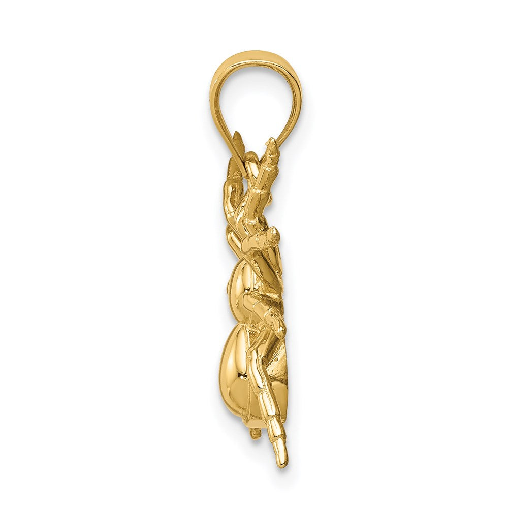 Charlie & Co Jewelry | 14k Polished Spider Pendant - Model D4569
