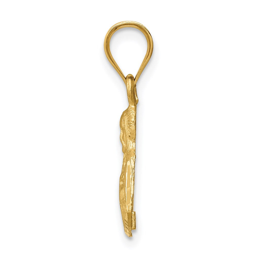 Charlie & Co Jewelry | 14k Brushed Diamond-cut Jesus Pendant - Model D4671