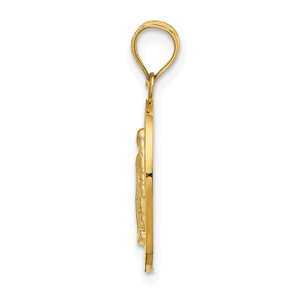 Charlie & Co Jewelry | 14k Polished Miraculous Medal Pendant - Model D4674