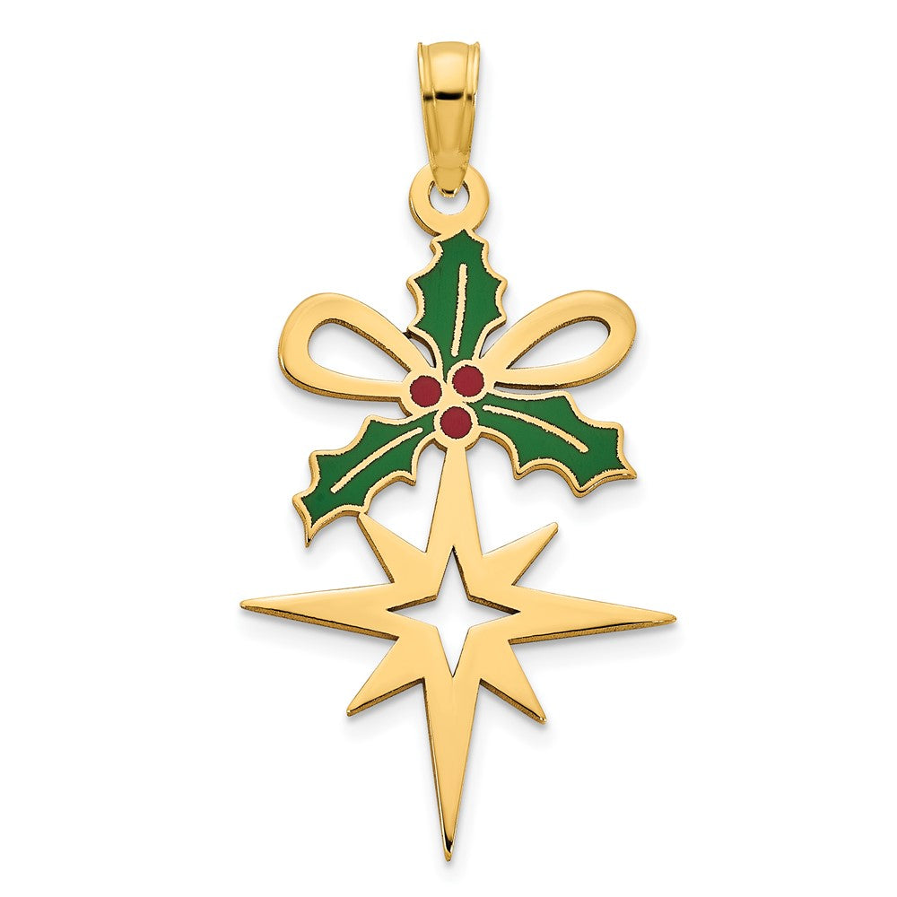 Charlie & Co Jewelry | 14k Epoxy Holly And North Star Pendant - Model D5260