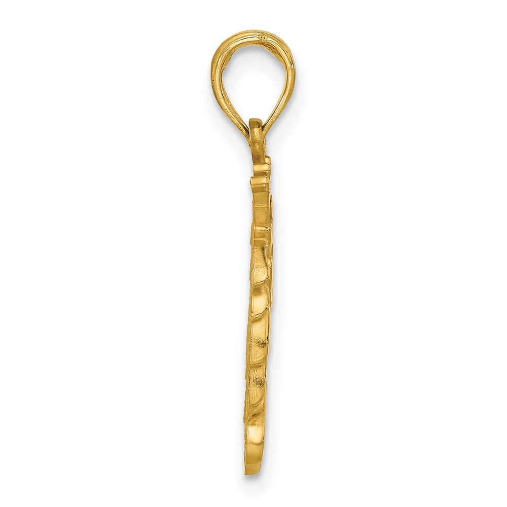 Gold Polished Lion Head with Crown Pendant Model-D5473 - Charlie & Co. Jewelry