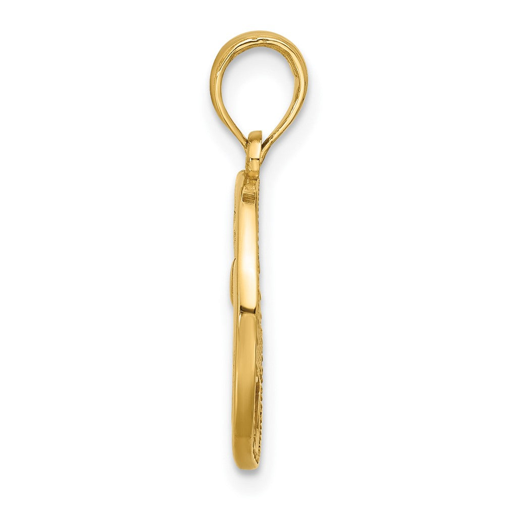Charlie & Co Jewelry | 14k Polished Round Pisces Pendant - Model D5523