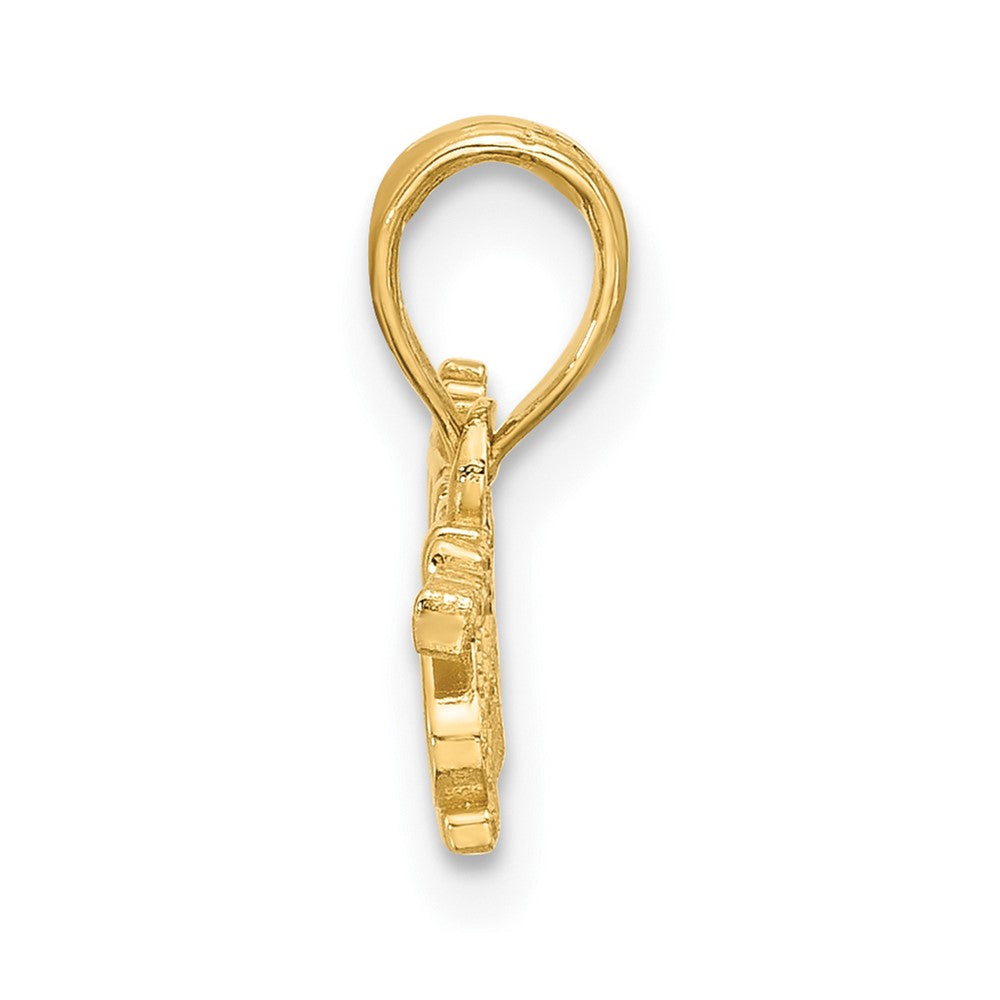 Charlie & Co Jewelry | 14k Polished Princess Charm - Model D5613