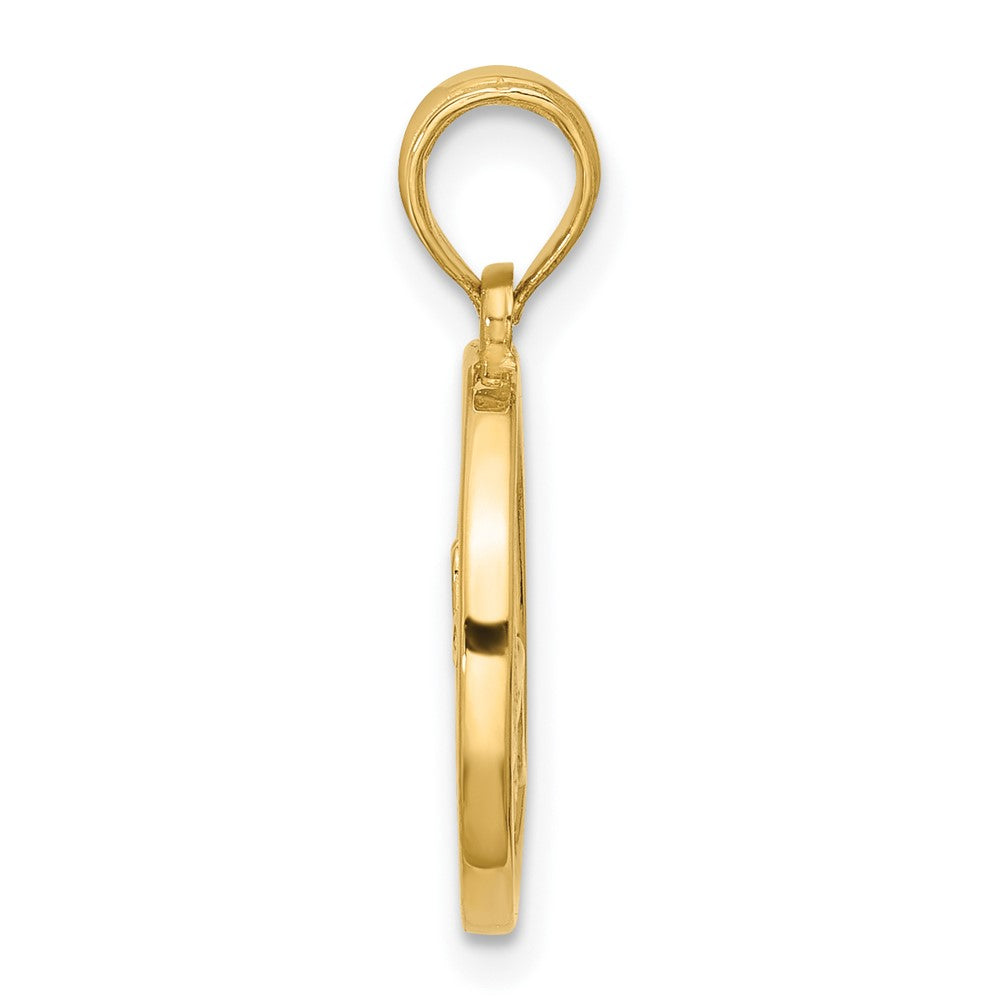 Charlie & Co Jewelry | 14k Polished Round Capricorn Pendant - Model D5732