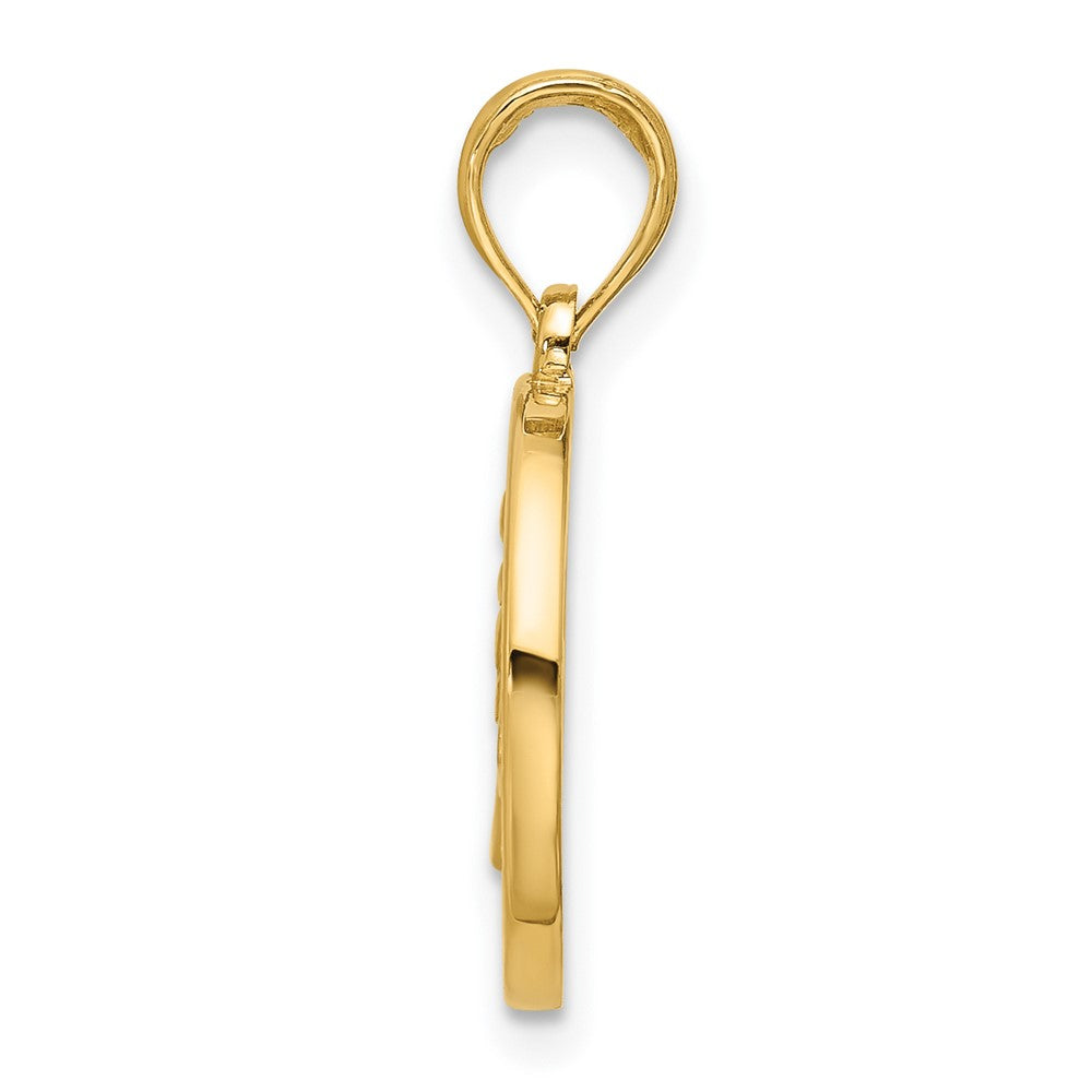 Charlie & Co Jewelry | 14k Polished Round Leo Pendant - Model D5739
