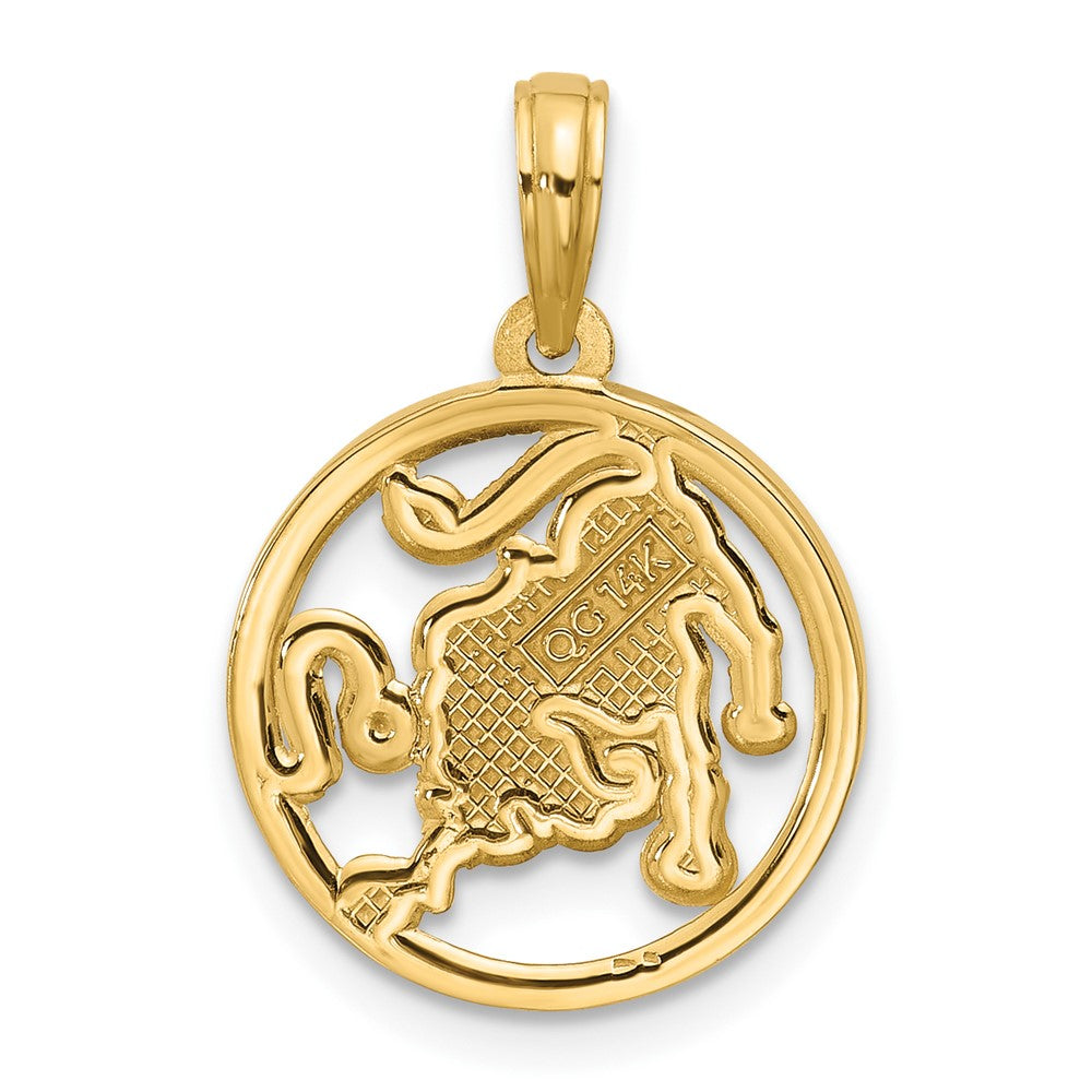 Charlie & Co Jewelry | 14k Polished Round Leo Pendant - Model D5739