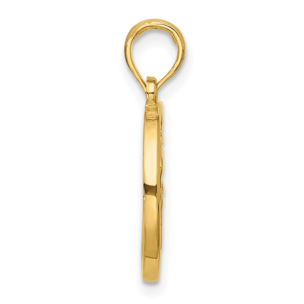Charlie & Co Jewelry | 14k Polished Round Aquarius Pendant - Model D5743