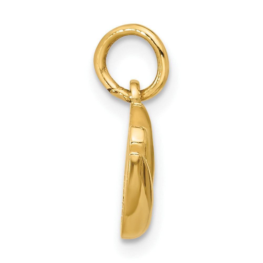 Charlie & Co Jewelry | 14k Polished Enameled Pistachio Pendant - Model D5757