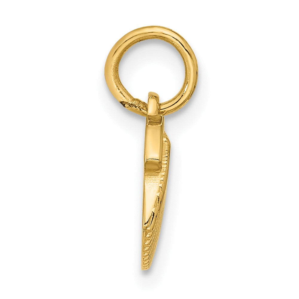 Charlie & Co Jewelry | 14k Polished Textured Seashell Pendant - Model D5758