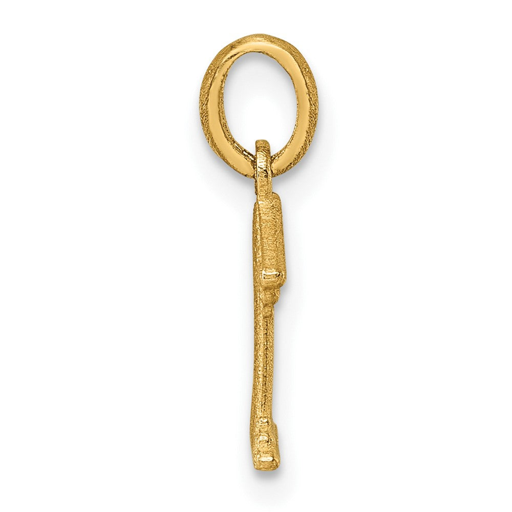 Charlie & Co Jewelry | 14k Polished Temple Pendant - Model D5765