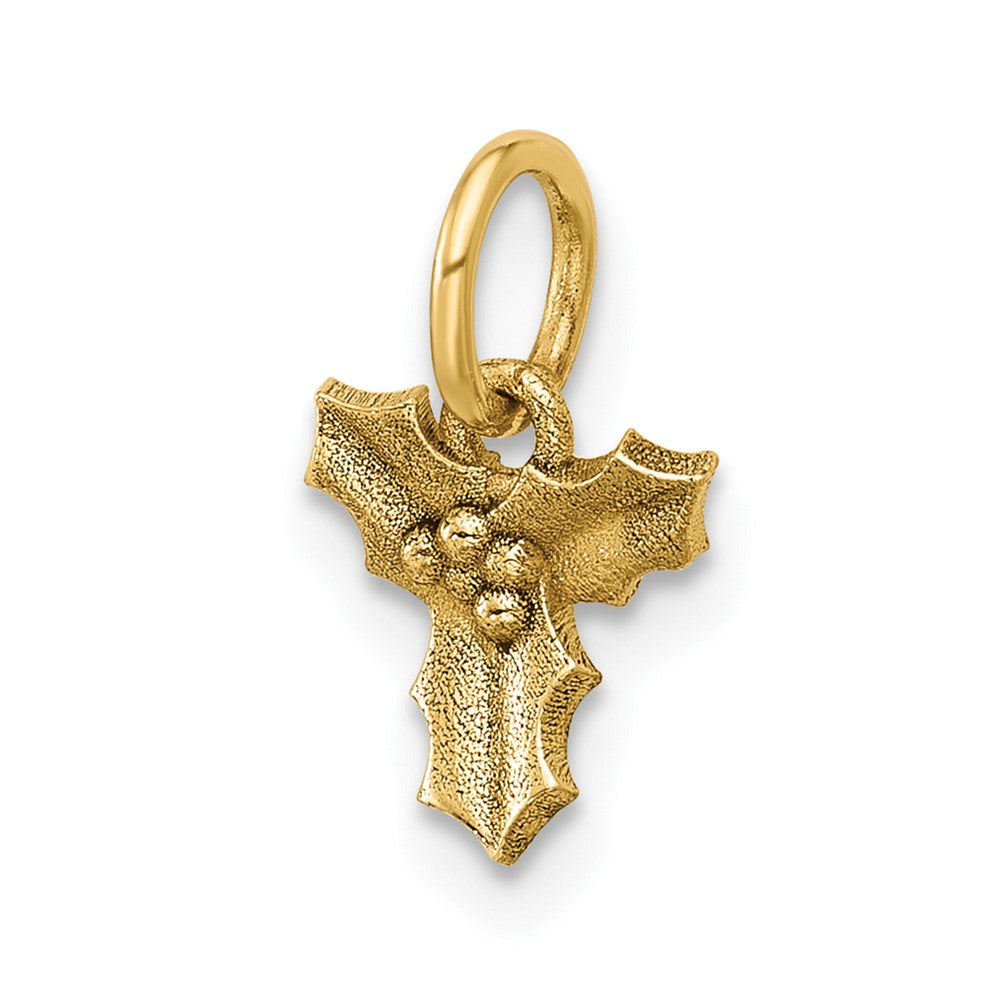 Charlie & Co Jewelry | 14k Polished Holly Pendant - Model D5777