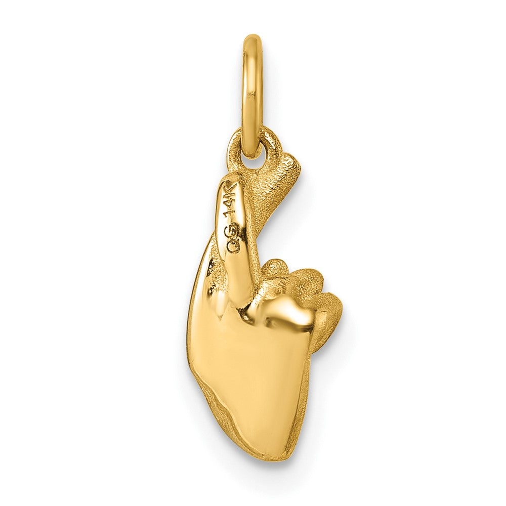 Charlie & Co Jewelry | 14k Polished Fingers Crossed Hand Pendant - Model D5798