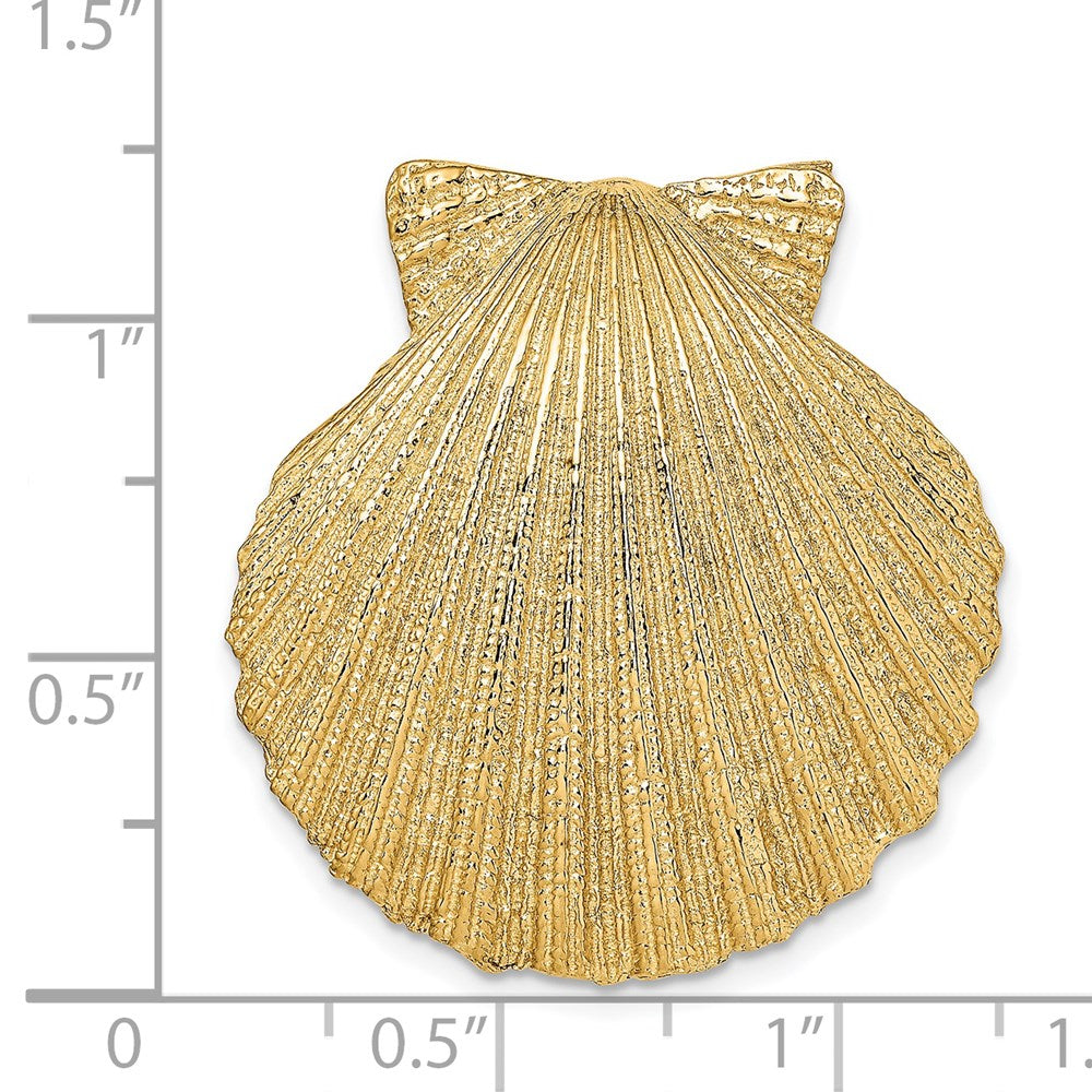 Charlie & Co Jewelry | 14k Fits Up To 8mm And 10mm Medium Scallop Shell Slide - Model D997