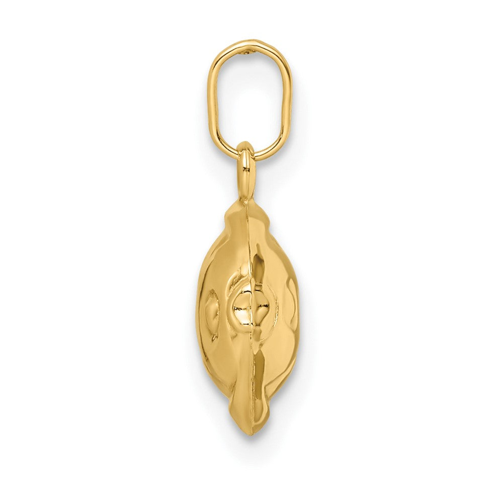 14k Madi K Polished 3D Fish Pendant - Charlie & Co. Jewelry