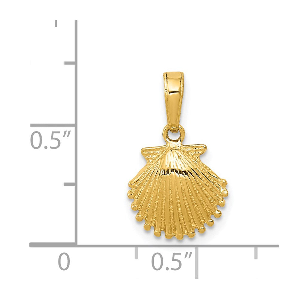 Charlie & Co Jewelry | 14k Scallop Shell Pendant - Model K2967