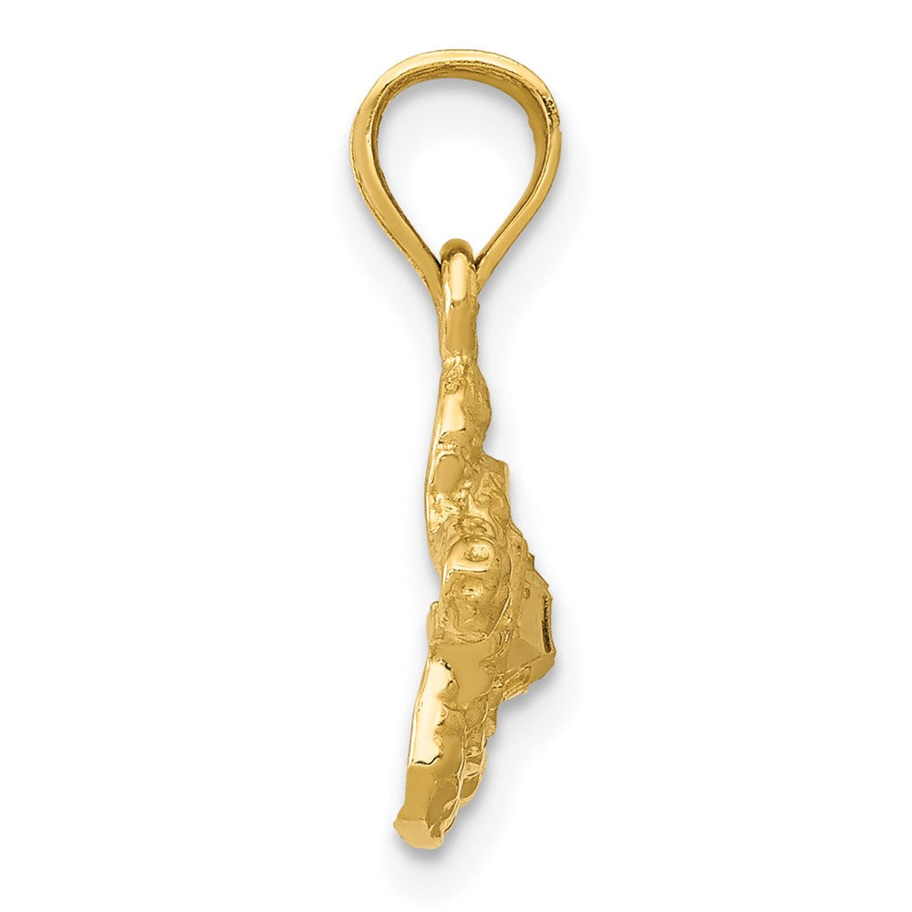 14K Gold Small Turtle Charm - Charlie & Co. Jewelry