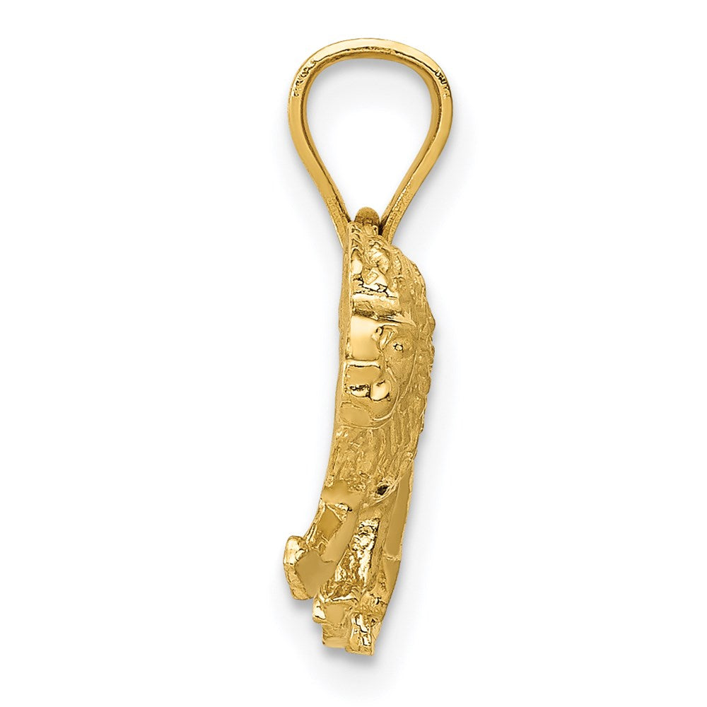 14K Gold Diamond-Cut Lion Pendant - Charlie & Co. Jewelry