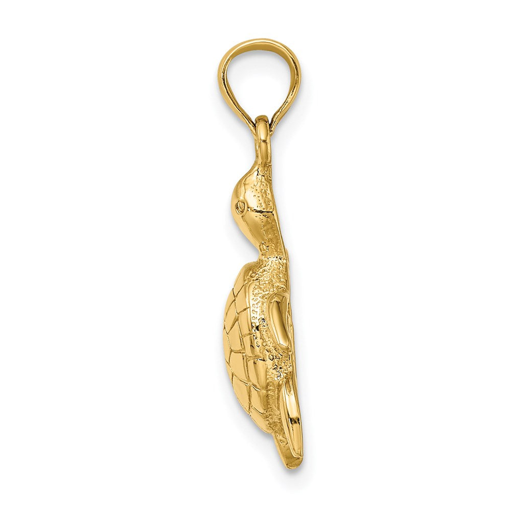 14K Gold Polished Turtle Charm - Charlie & Co. Jewelry