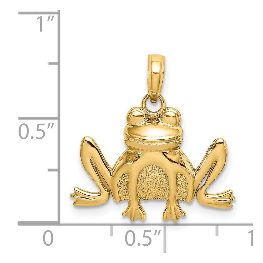 14K Textured Sitting Frog Pendant - Charlie & Co. Jewelry