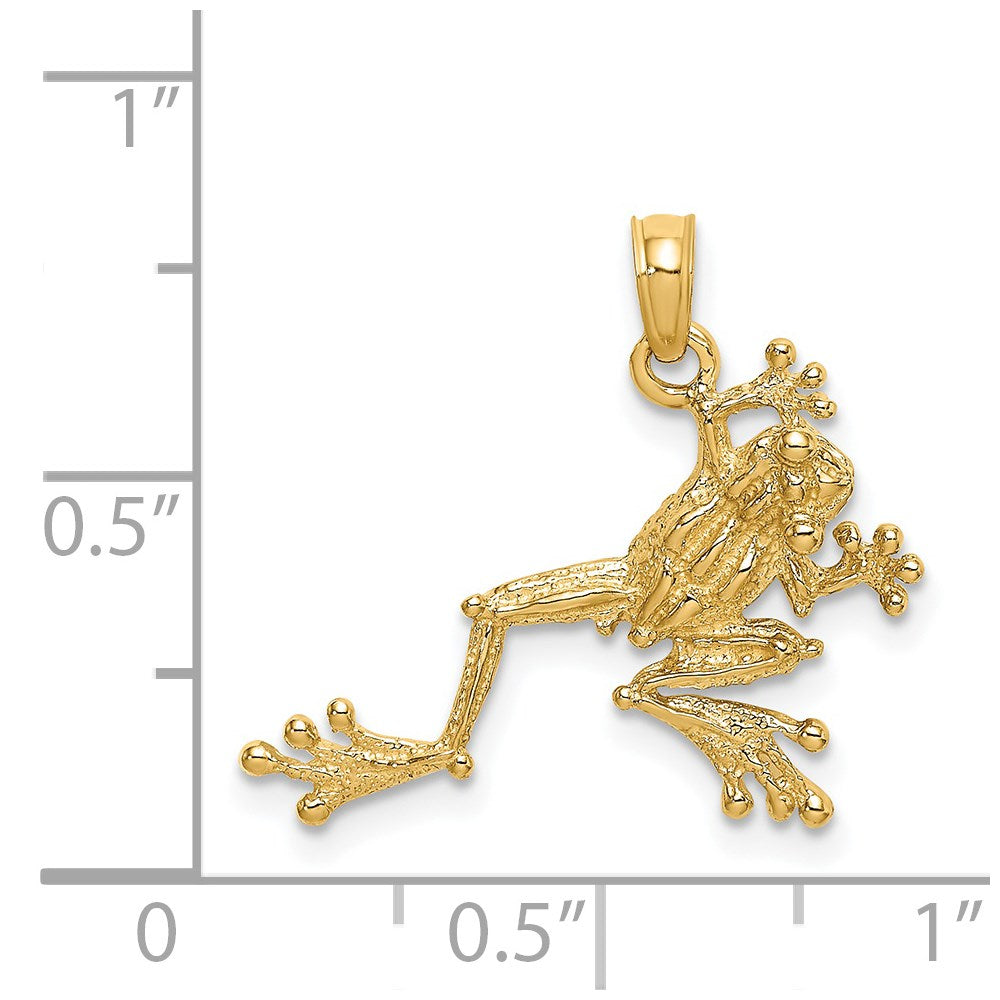 14K Gold Textured Frog Charm - Charlie & Co. Jewelry