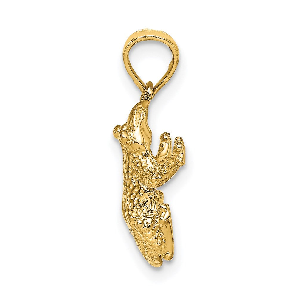 14K Gold Frog Pendant - Charlie & Co. Jewelry