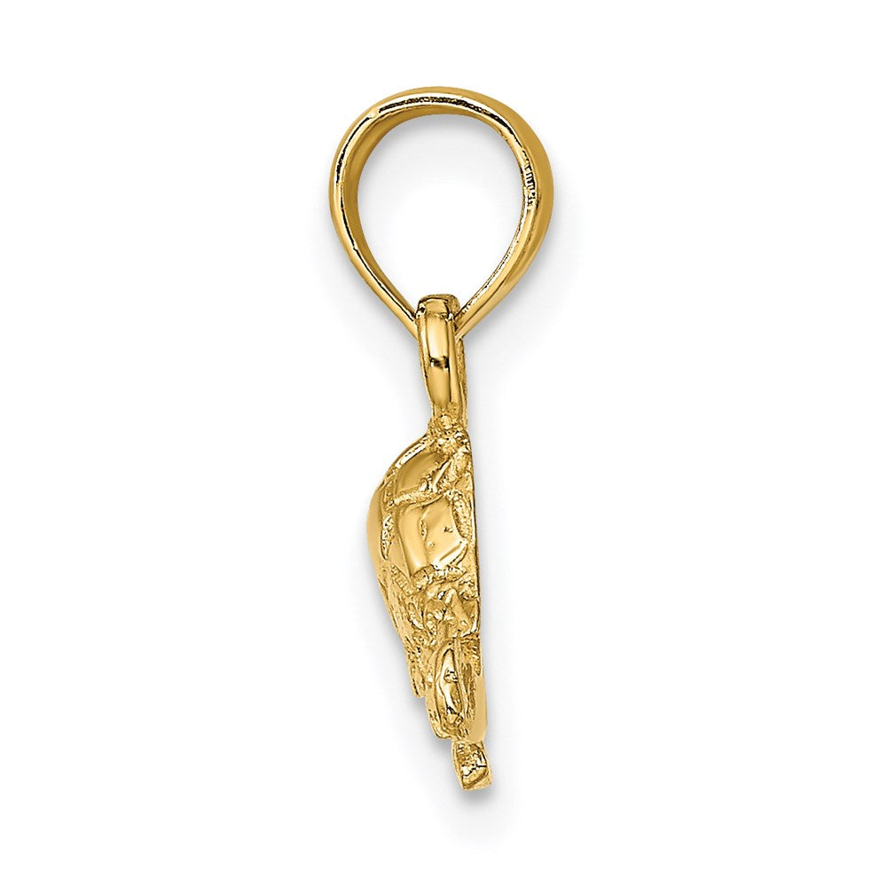 14k Gold Polished Mini Turtle Necklace Pendant - Charlie & Co. Jewelry