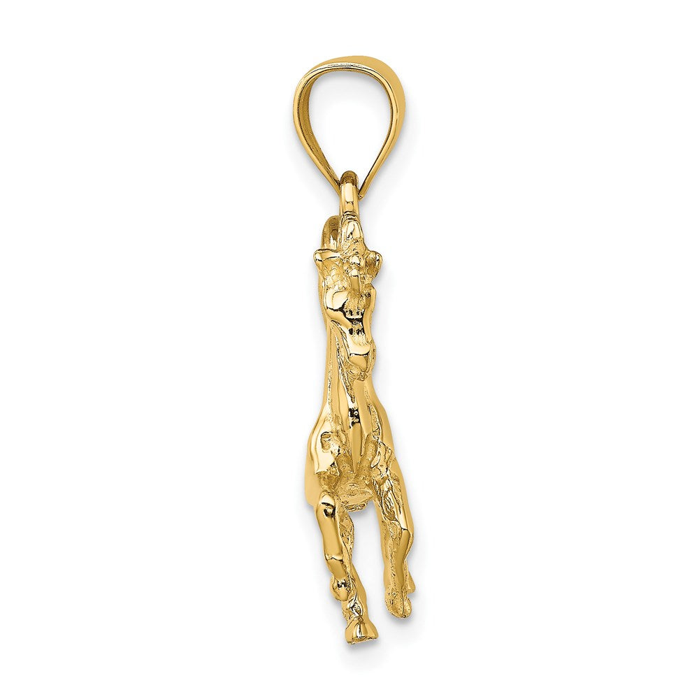 Gold Medium 3-D Horse Charm Necklace - Model K6546 - Charlie & Co. Jewelry