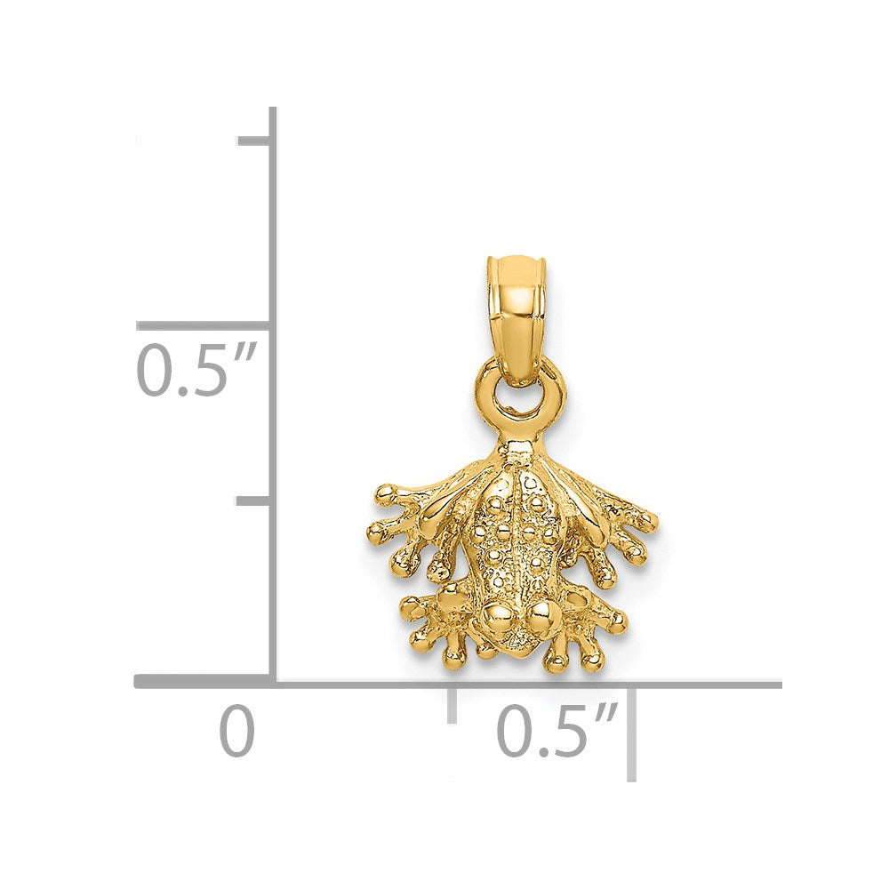 14K Gold Mini Frog Facing Down Pendant - Charlie & Co. Jewelry