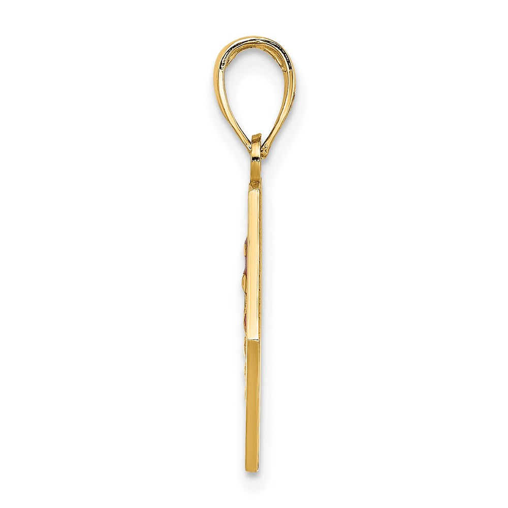 Charlie & Co Jewelry | 14k Enameled Textured Back Caduceus Medical Disc - Model K6732