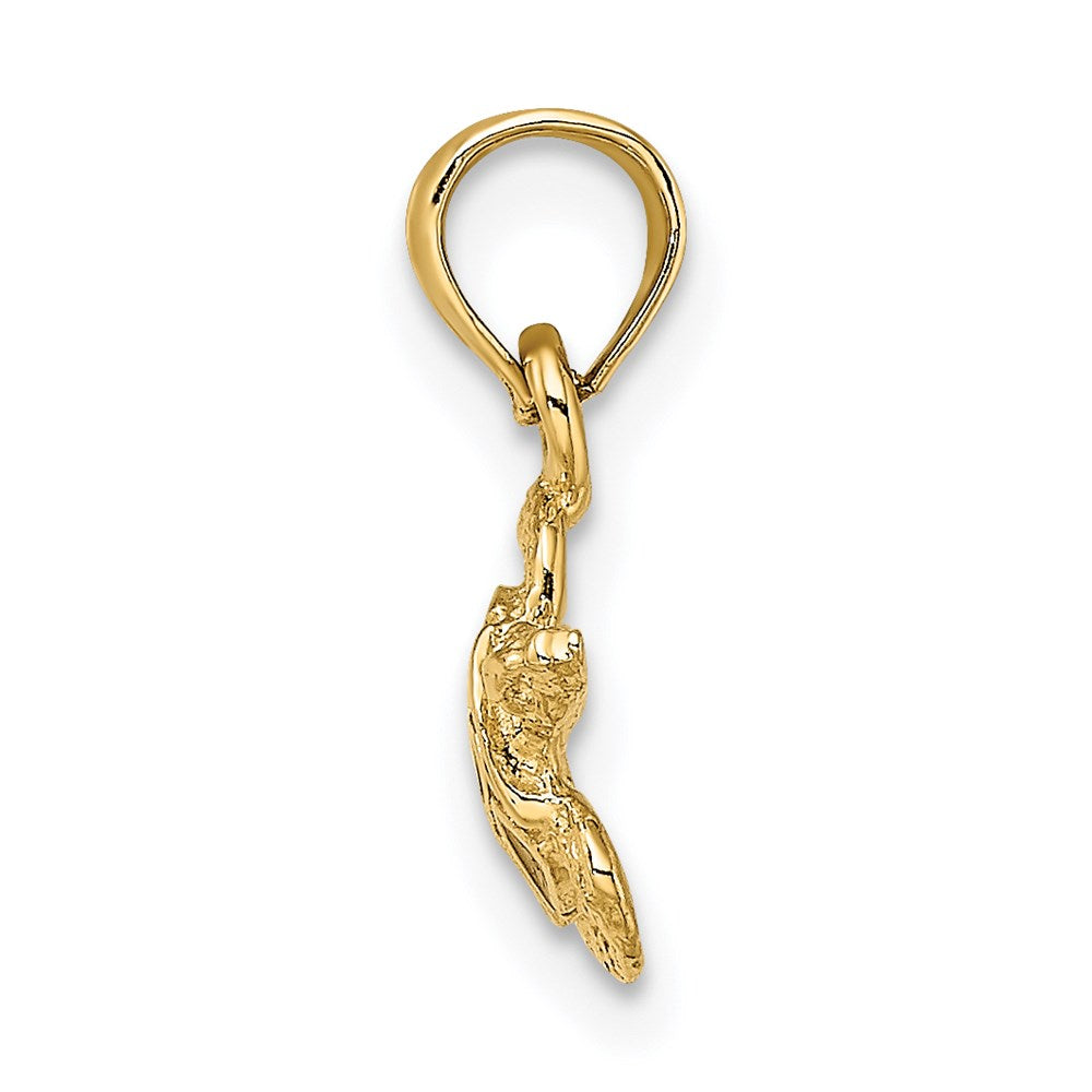 Charlie & Co Jewelry | 14k Textured And Enameled Sea Turtle Charm - Model K6751
