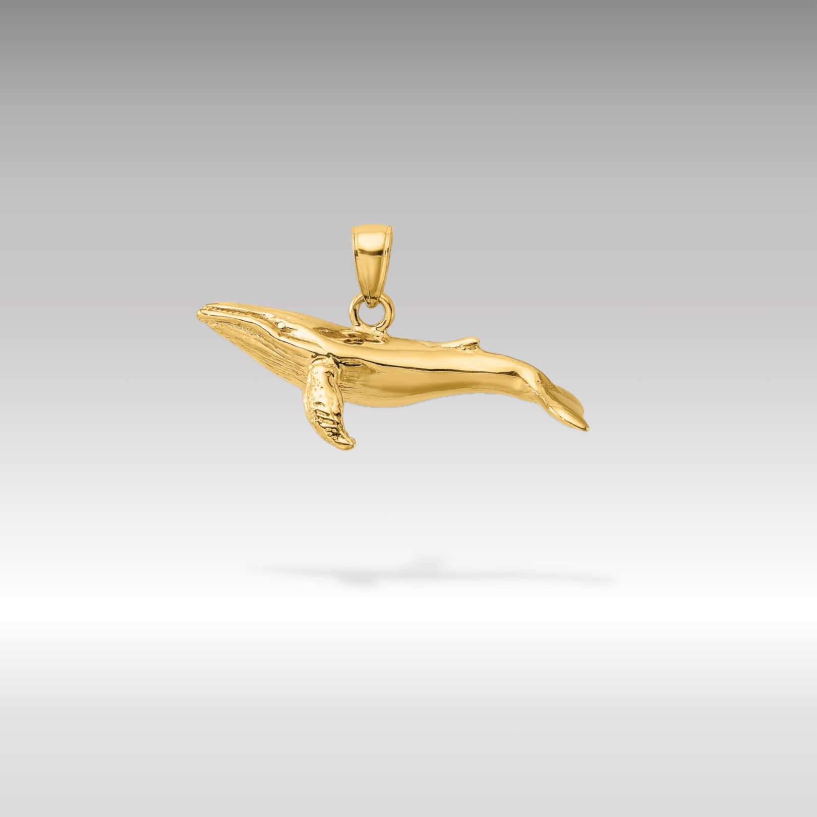 14K Gold 3D Textured Underside Humpback Whale Pendant - Charlie & Co. Jewelry