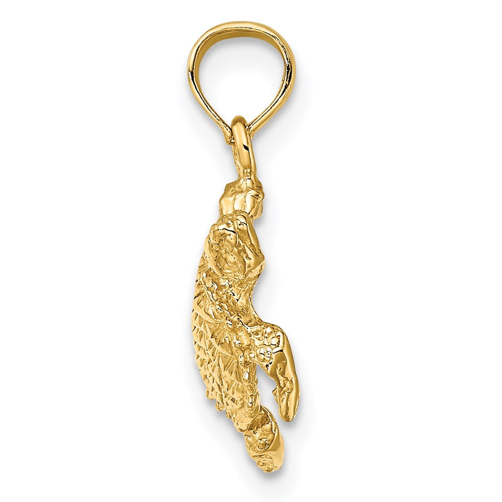 Charlie & Co Jewelry | 14k Sea Turtle With Tail Charm - Model K7647