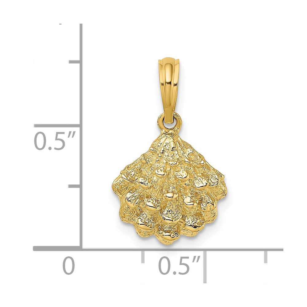 Charlie & Co Jewelry | 14k Textured Oyster Shell Charm - Model K7654