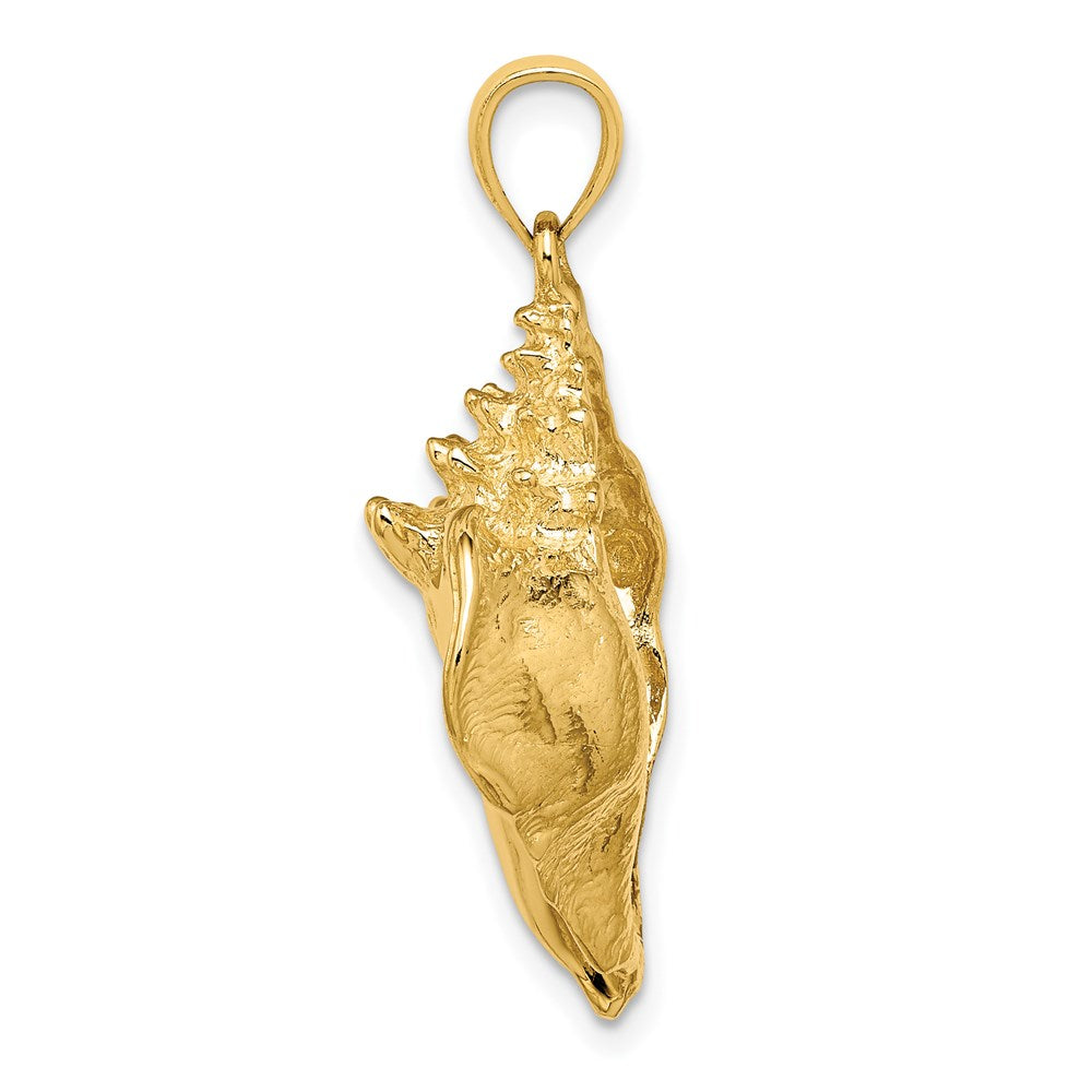 Charlie & Co Jewelry | 14k Conch Shell Charm - Model K7853