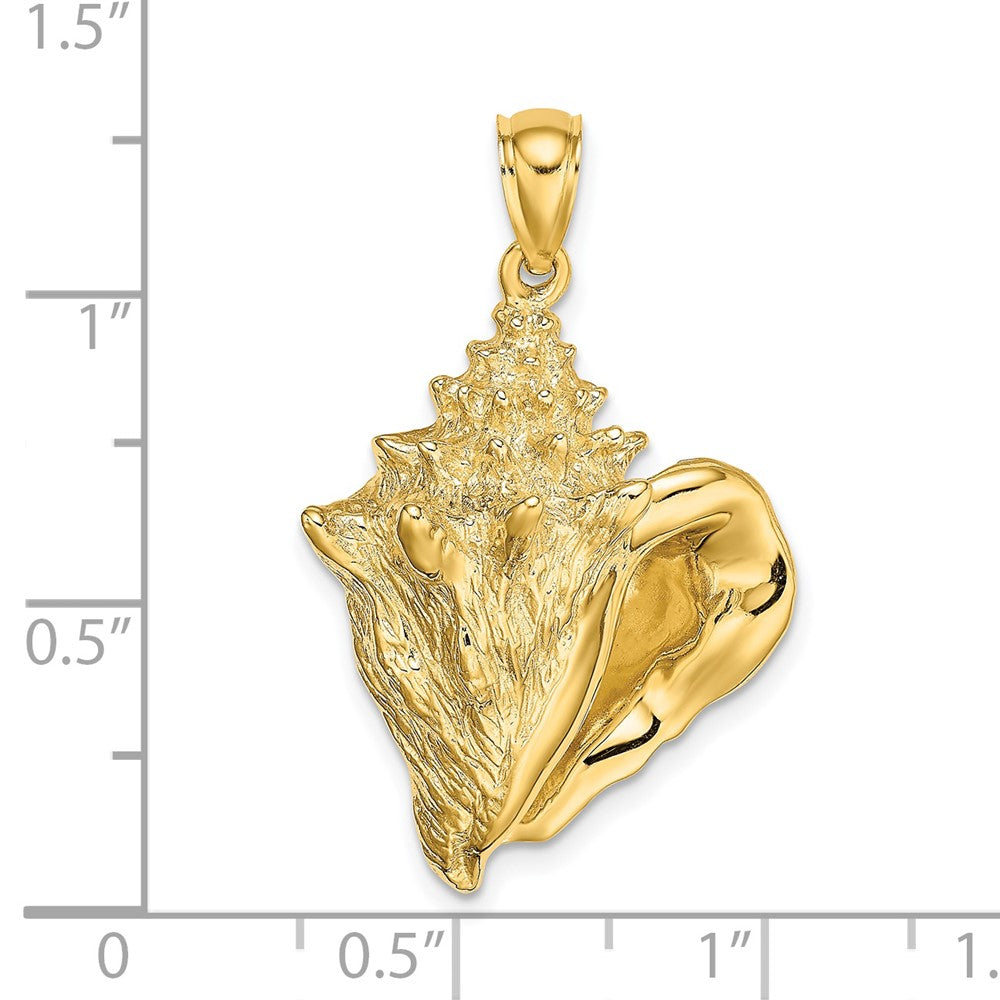 Charlie & Co Jewelry | 14k Conch Shell Charm - Model K7853