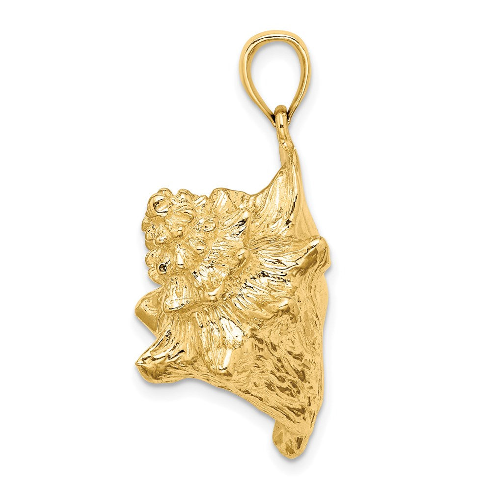 14K Gold 3D Conch Shell Pendant - Charlie & Co. Jewelry