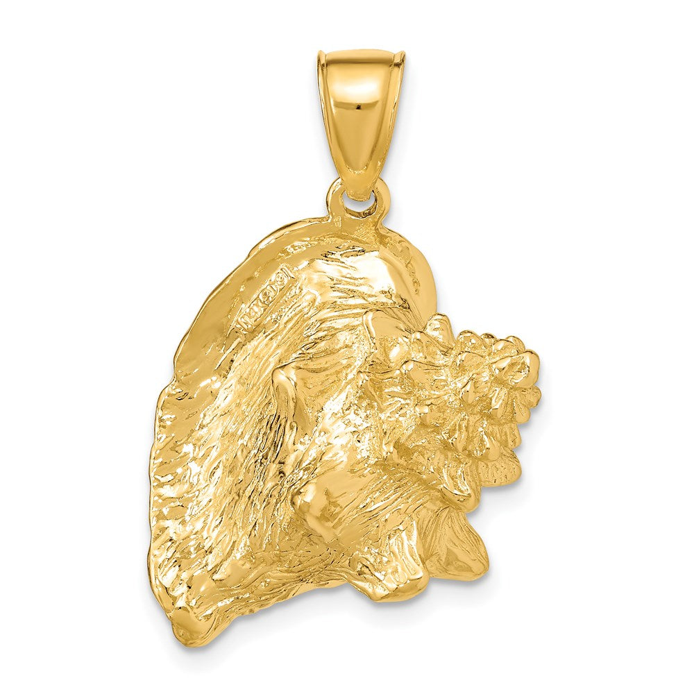 14K Gold 3D Conch Shell Pendant - Charlie & Co. Jewelry