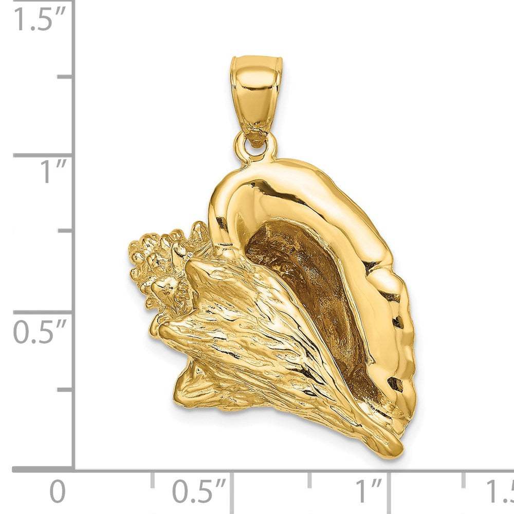 14K Gold 3D Conch Shell Pendant - Charlie & Co. Jewelry