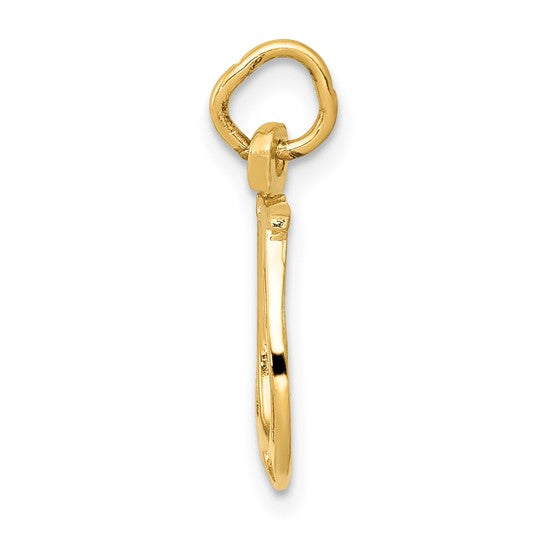 14k Solid Gold Horseshoe Necklace Charm - Charlie & Co. Jewelry