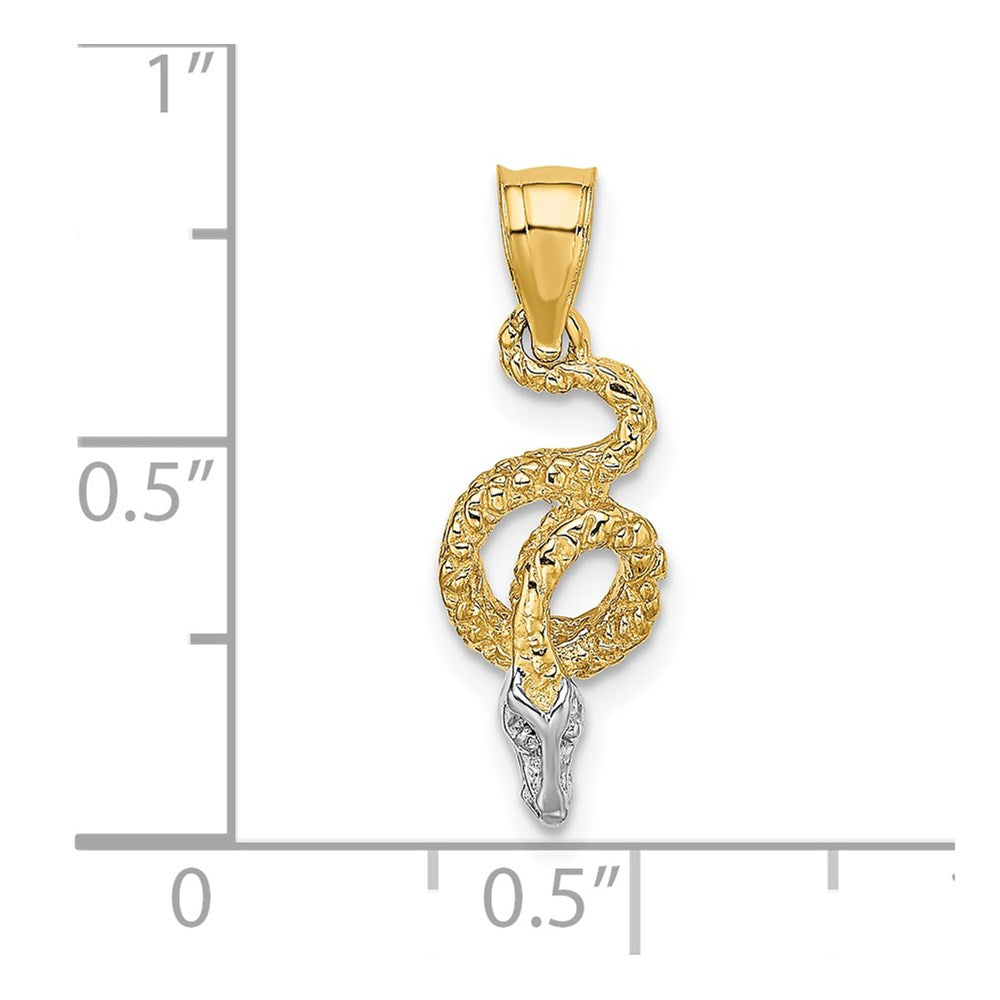14K Gold Coiled Snake Pendant - Charlie & Co. Jewelry