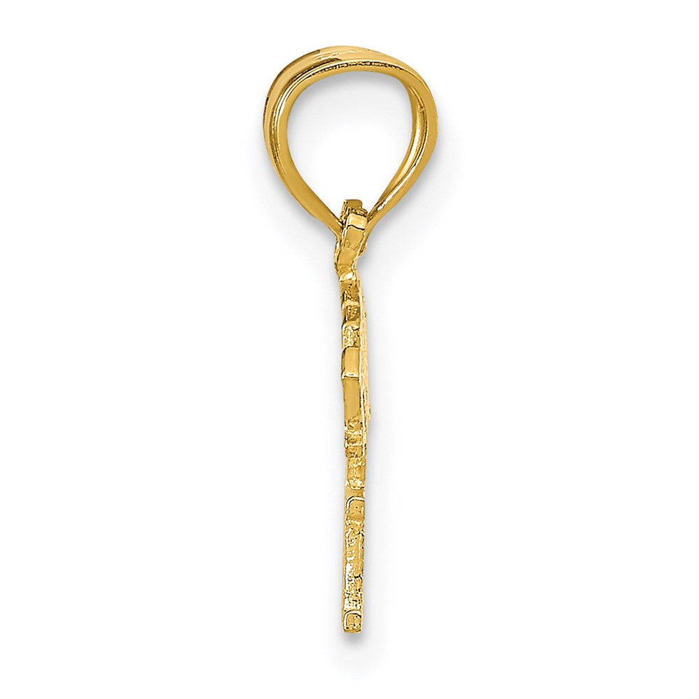 Charlie & Co Jewelry | 14k Born To Win Pendant - Model K9758