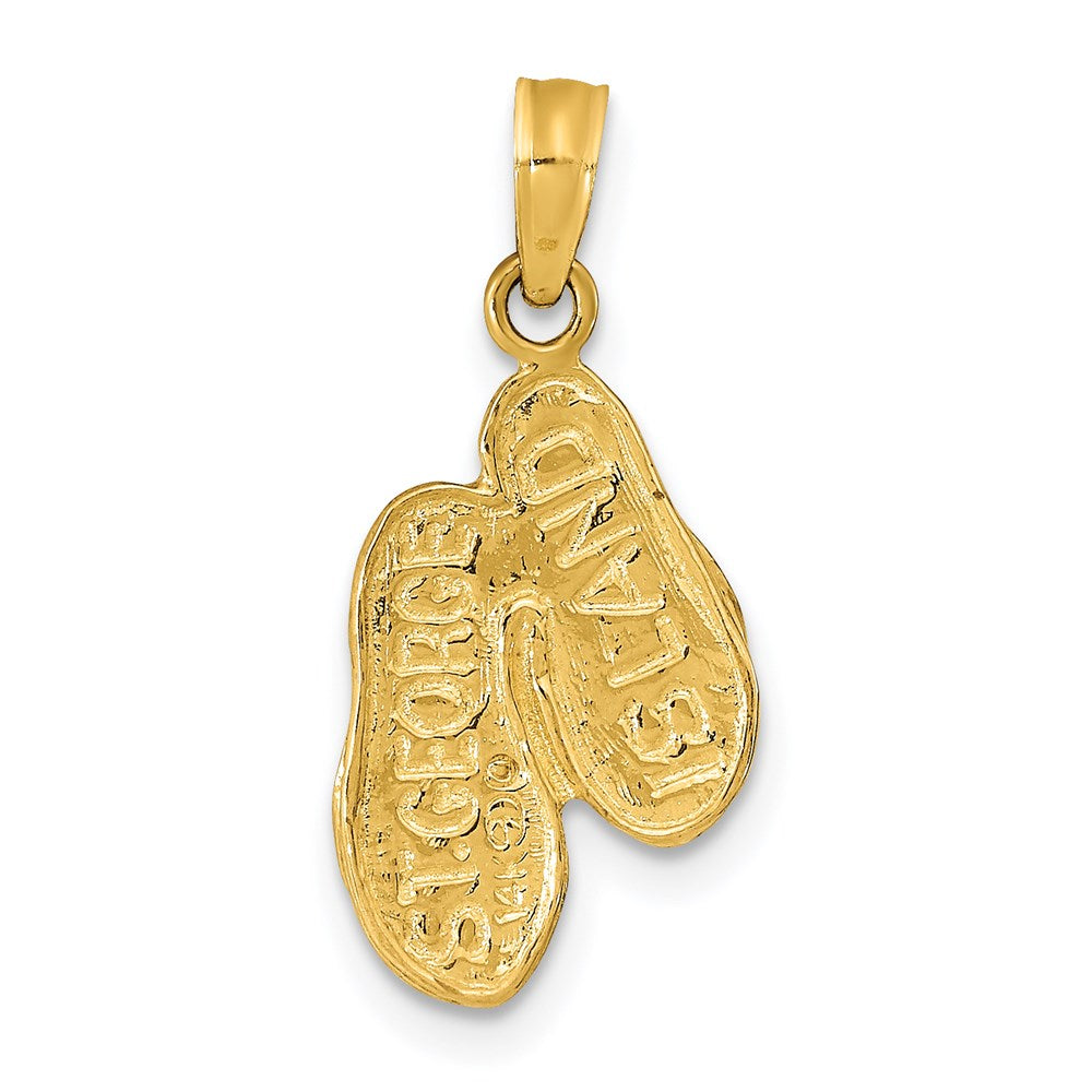 Charlie & Co Jewelry | 14k St. George Island Reversible Flip Flops Pendant - Model K9764