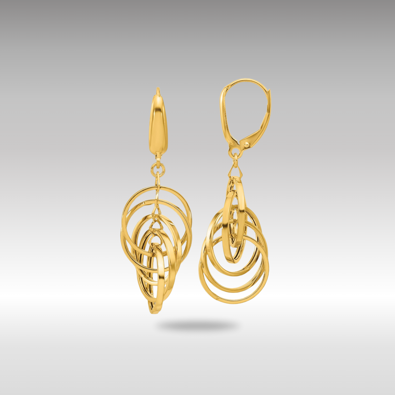 Gold Leslie's 14K Polished Circles Dangle Earrings - Model LE2273 - Charlie & Co. Jewelry
