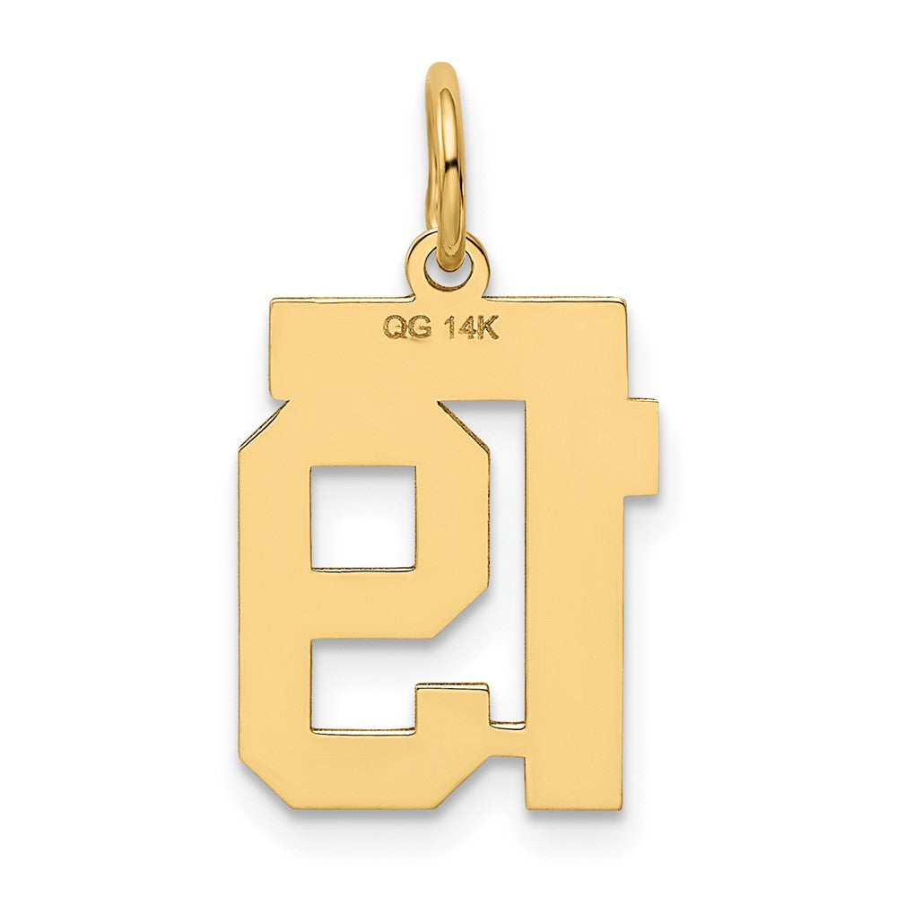 Charlie & Co Jewelry | 14k Small Polished Number 19 Charm - Model LS19