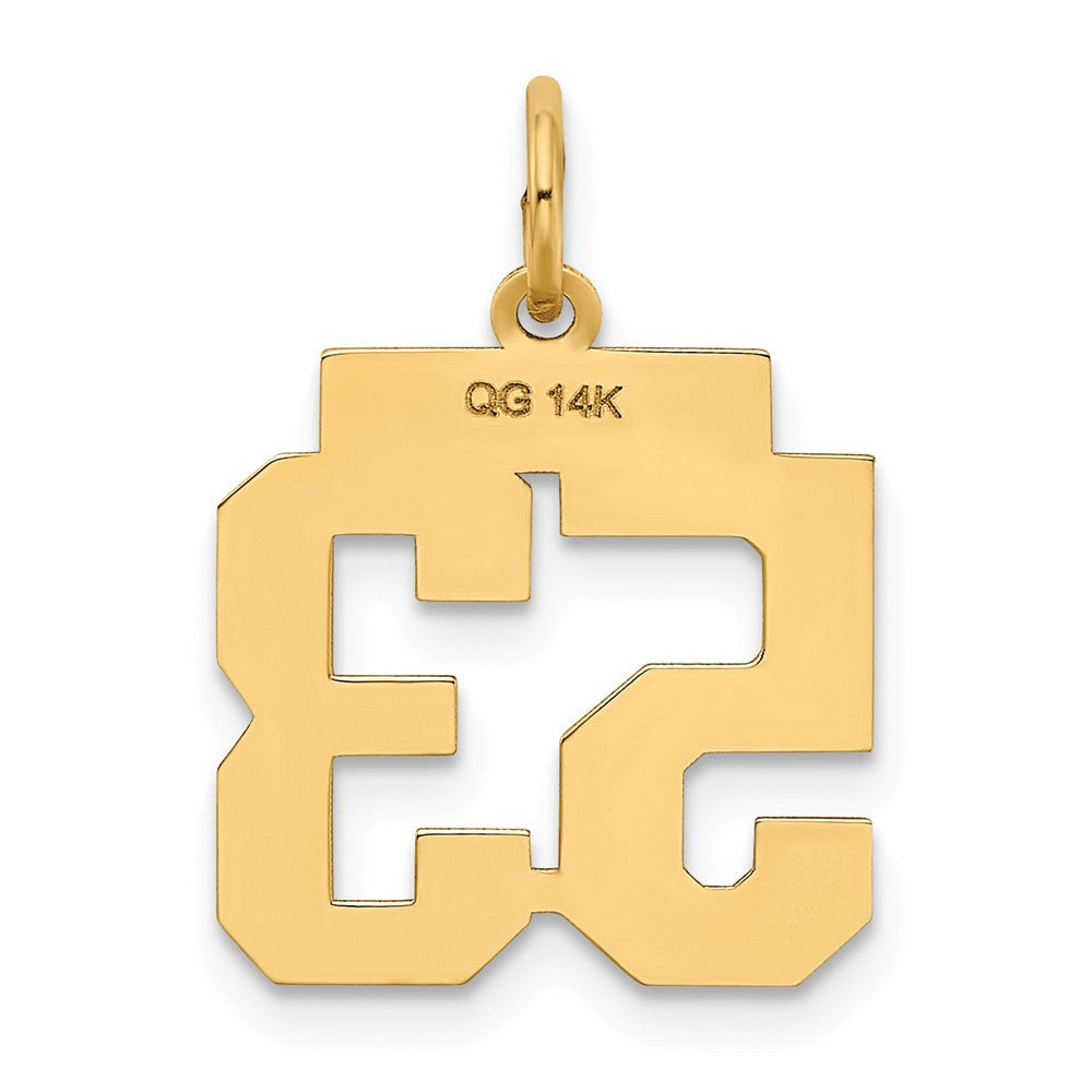 Charlie & Co Jewelry | 14k Small Polished Number 53 Charm - Model LS53
