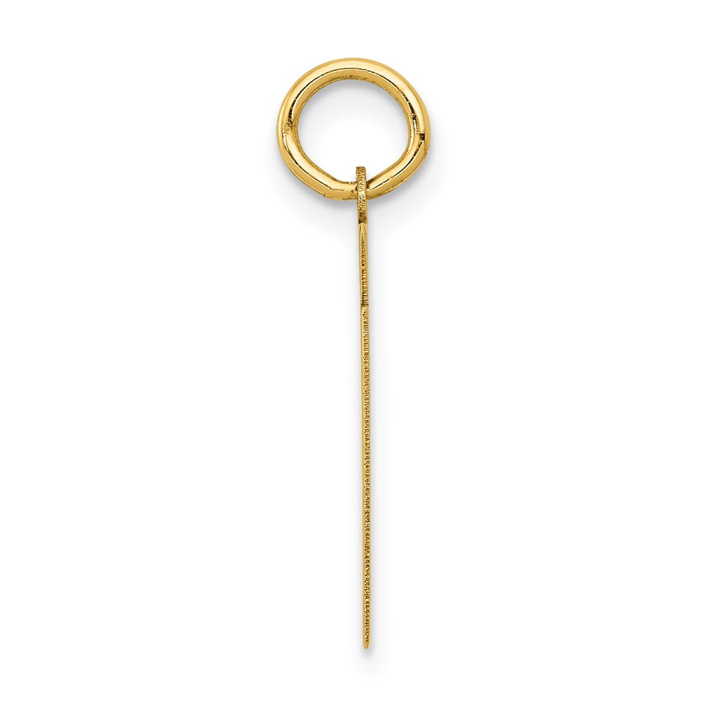 Charlie & Co Jewelry | 14k Small Polished Number 61 Charm - Model LS61