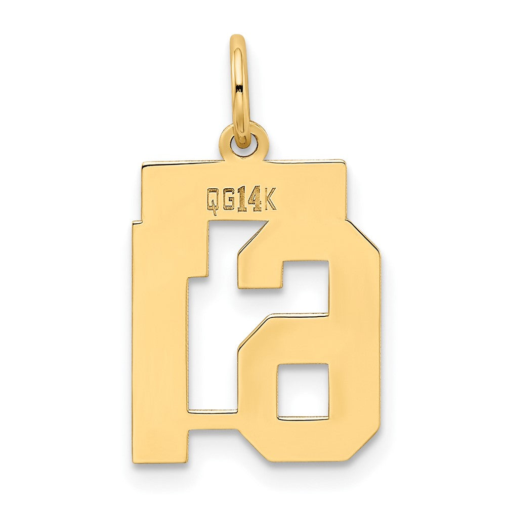 Charlie & Co Jewelry | 14k Small Polished Number 61 Charm - Model LS61