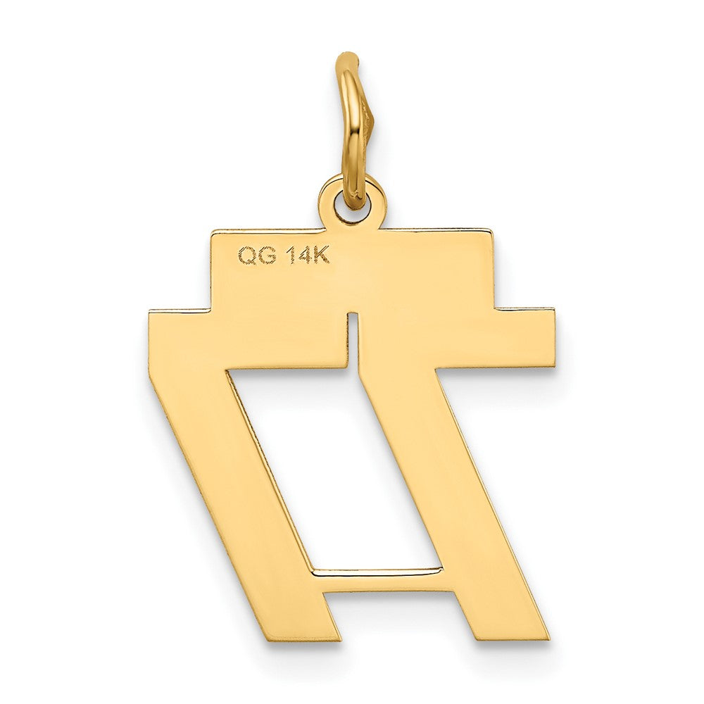 Charlie & Co Jewelry | 14k Small Polished Number 77 Charm - Model LS77